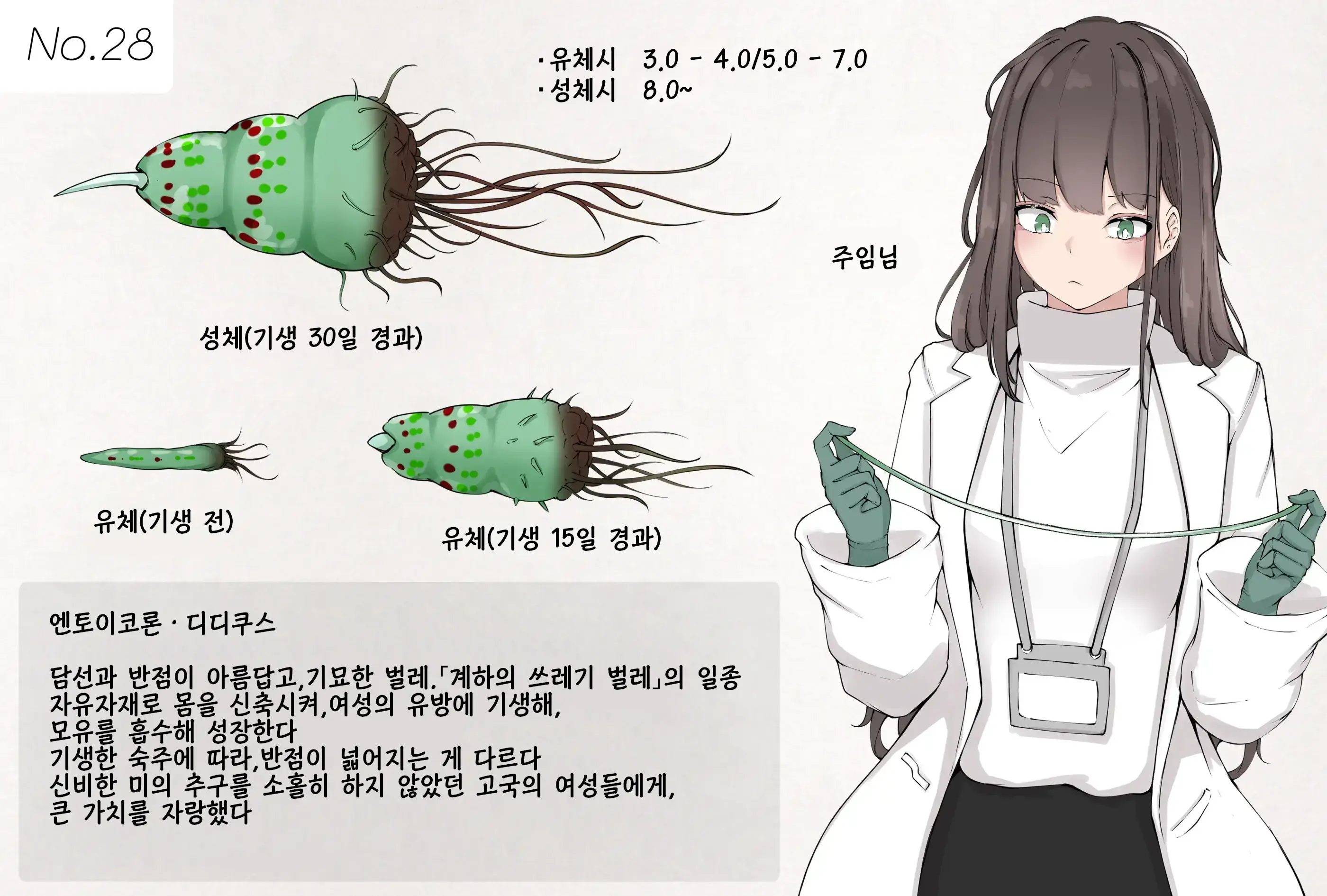 Insect Research Report